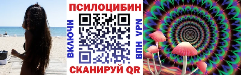 kraken маркетплейс  купить наркоту  Первоуральск  Псилоцибиновые грибы мицелий 