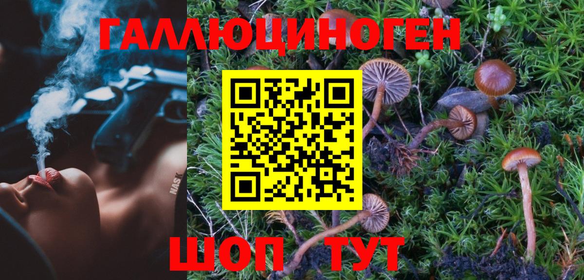 Первоуральск  Псилоцибиновые грибы GOLDEN TEACHER  Псилоцибиновые грибы GOLDEN TEACHER  Вход с VPN 